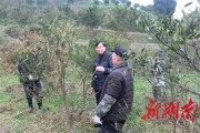 柑橘種植技術(shù)培訓(xùn)的目的_植保無人機在征戰(zhàn)柑橘植保市場的道路上發(fā)展怎么樣 柑橘種植技術(shù)培訓(xùn)的目的_植保無人機在征戰(zhàn)柑橘植保市場的道路上發(fā)展怎么樣
