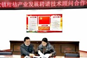 綠色柑橘種植技術(shù)_柑橘樹(shù)如何嫁接