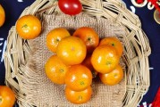 柑橘種植防蟲(chóng)害管理技術(shù)_種植2年的柑橘樹(shù)