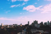 柑橘管理懶人技術交流會：高效省力新方案助力產業(yè)增效