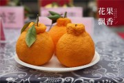 柑橘怎么樣脫毒呢_怎樣種植臍橙樹(shù)苗成活率高