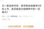 吃臍橙的禁忌人群有哪些（吃臍橙有什么營養(yǎng)）