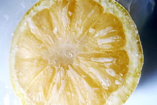 臍橙?;ㄔ霎a(chǎn)(臍橙樹?;ū9檬菜幾詈茫? /></p><p style= 臍橙?;ㄔ霎a(chǎn)(臍橙樹保花保果用什藥最好)