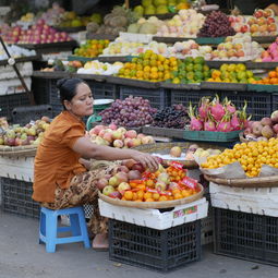 盆景桔子樹(shù)怎么養(yǎng)需要什么肥料（盆景桔子樹(shù)怎么養(yǎng)需要什么肥料最好）