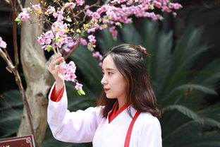 沃柑種子怎么發(fā)芽不嫁接幾年結(jié)果（沃柑用種子種什么時(shí)候能長(zhǎng)果?）