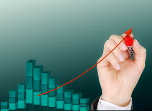 新會(huì)柑皮多少一斤最新價(jià)格？2023年市場(chǎng)行情及價(jià)格走勢(shì)分析