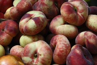 柑橘脫酸劑怎么用？果農(nóng)必看的正確操作指南