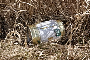 柑橘烏云香水愛馬仕：當(dāng)清新果香碰撞暗夜氣息，解碼頂級調(diào)香藝術(shù)