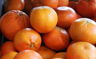 2023年四川十大柑橘品牌排名權(quán)威發(fā)布：品質(zhì)與口碑的巔峰對(duì)決