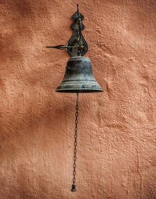 四川柑橘愛媛耙耙柑：果香濃郁皮薄肉厚的甜蜜之選