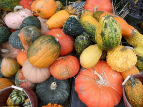 鮮甜爆汁！四川自產(chǎn)新鮮柑橘5斤現(xiàn)摘現(xiàn)發(fā)，果園直供限時特惠裝