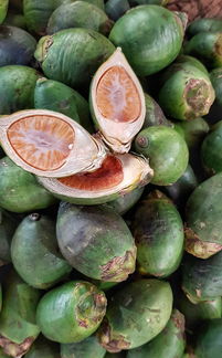 佛手柑移栽后葉子發(fā)黃的常見(jiàn)原因與應(yīng)對(duì)措施解析