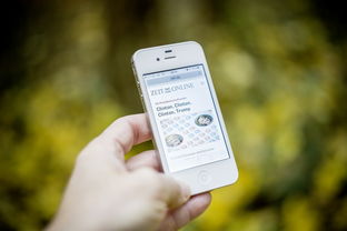 大分4號(hào)柑橘品種：優(yōu)質(zhì)特性與高效栽培技術(shù)解析