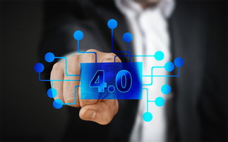 我國柑橘主產(chǎn)區(qū)生產(chǎn)問題調(diào)研報告:現(xiàn)狀剖析與產(chǎn)業(yè)優(yōu)化對策研究