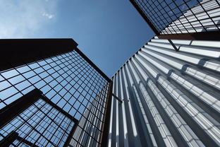 柑橘十大區(qū)域品牌:發(fā)展現(xiàn)狀與市場(chǎng)影響力深度解析