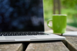 好景1號(hào)和川津1號(hào)那個(gè)好？深度對(duì)比評(píng)測(cè)與選購(gòu)指南