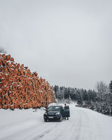 柑橘樹怕霜凍？科學(xué)應(yīng)對(duì)寒冬防護(hù)指南