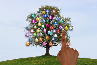 柑橘樹怕霜凍？科學(xué)應(yīng)對(duì)寒冬防護(hù)指南