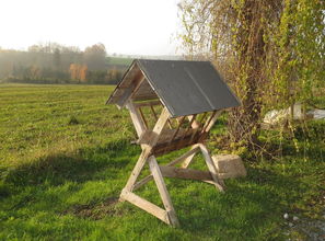 豐產(chǎn)村柑橘基地豐收?qǐng)D景:科技興農(nóng)繪就鄉(xiāng)村振興新畫(huà)卷