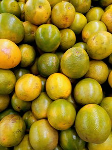 抖音助農(nóng)柑橘直播熱銷，果農(nóng)增收笑開顏