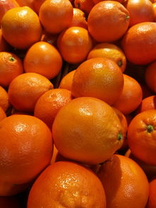 1月上市柑橘品種全解析:冬季時(shí)令果品與熱門產(chǎn)區(qū)品種推薦