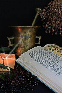 廣西甘草柑橘:自然饋贈(zèng)的甘甜滋味