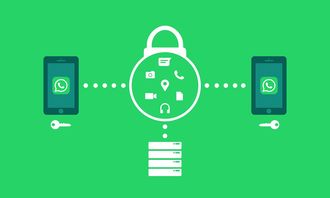 小青柑存放要加密封袋嗎？關鍵保存要點與注意事項解析