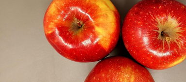 早熟柑橘新品種哪個好吃？果農(nóng)實測推薦與口感對比指南