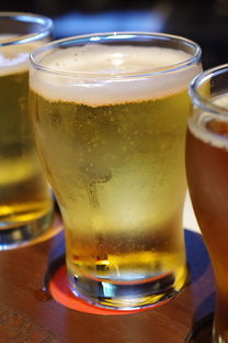 小柑橘什么茶種？全面解析其品種淵源與獨(dú)特沖泡技巧