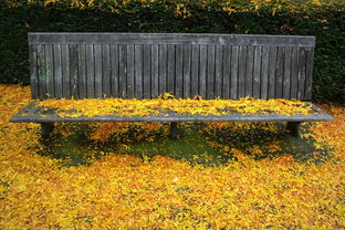 豐收季直擊！杷杷柑橘果樹(shù)直播現(xiàn)場(chǎng)教學(xué)+種植技巧大公開(kāi)