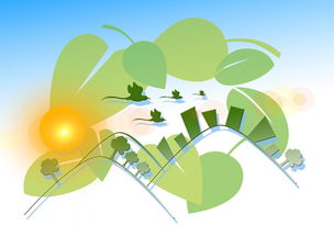 探秘柑橘特點(diǎn)及生長(zhǎng)環(huán)境：從品種特性到適宜氣候的全面解析