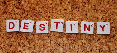 柑橘專(zhuān)用農(nóng)藥大全:科學(xué)防治技術(shù)與病蟲(chóng)害管理實(shí)用指南