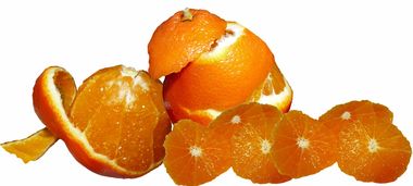 柑桔育苗必須要剝皮嗎？關鍵技術步驟與影響因素深度解析