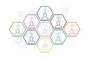 柑橘黃龍黃化免疫劑創(chuàng)新技術(shù):綠色防控與病害免疫協(xié)同增效機(jī)制解析