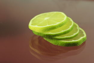 柑橘黃葉怎么治？解析病因、防治方法與營養(yǎng)補救全攻略