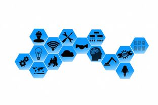 柑橘類苦味物質(zhì)基礎(chǔ)代謝調(diào)控網(wǎng)絡(luò)解析與功能研究