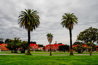 川津1號(hào)柑桔適合什么地方種？氣候條件與適宜栽培區(qū)域解析