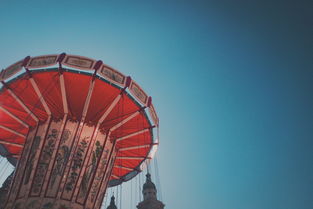 目前明日見柑橘價格市場行情分析及產(chǎn)銷動態(tài)解讀