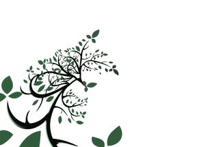 柑橘主要病害識(shí)別圖譜與綜合防治方法詳解