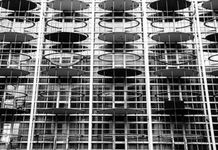 2021柑橘產(chǎn)量預(yù)測價格分析：產(chǎn)銷形勢與價格走勢深度解析報告