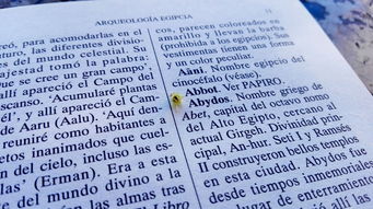 柑橘烏云歌詞最新版全網(wǎng)首發(fā)：完整版歌詞解析與創(chuàng)作背景揭秘