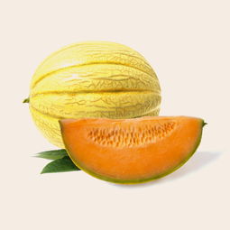 沃柑日曬果多怎么補救？果農(nóng)必學的5大實用防治技巧解析