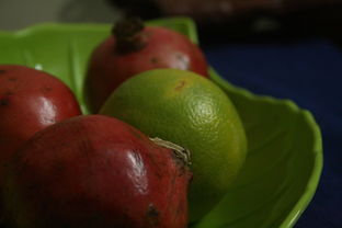 柑橘什么品種最好吃高產(chǎn)？揭秘果農(nóng)推薦的優(yōu)質(zhì)品種排行榜