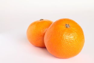 中國南方地區(qū)不同柑橘品種抗寒能力比——基于低溫脅迫下生理響應差異及評價分析