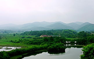 浙江省舟山市哪幾個主要柑橘產(chǎn)地——探秘舟山特色柑橘產(chǎn)業(yè)分布與發(fā)展現(xiàn)狀解析