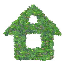 常德市地區(qū)種沃柑：生態(tài)種植技術(shù)助力柑橘產(chǎn)業(yè)升級(jí)之路
