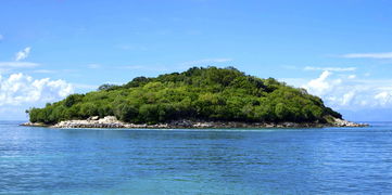 宜賓沃柑基地:長(zhǎng)江畔萬(wàn)畝示范園豐收喜人,甜蜜產(chǎn)業(yè)鋪就鄉(xiāng)村振興新篇章
