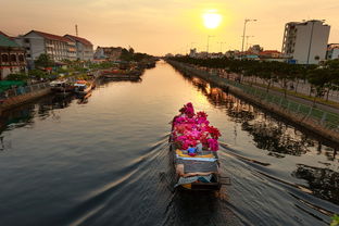 寧香柑橘產(chǎn)地哪個地區(qū)？核心產(chǎn)區(qū)分布與種植優(yōu)勢大揭秘