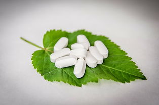 最抗凍柑橘品種什么？中國(guó)北方耐寒柑橘推薦榜單解析