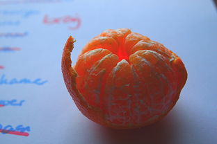 環(huán)割柑橘果樹佳時(shí)間幾月（柑橘環(huán)割技術(shù)視頻）
